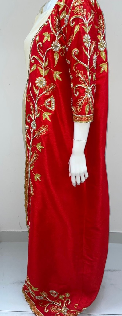 Gorgeous Dual Color Dress