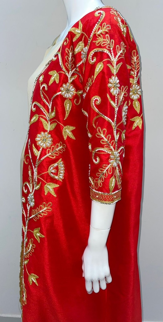 Gorgeous Dual Color Dress