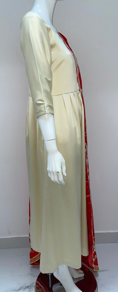 Gorgeous Dual Color Dress