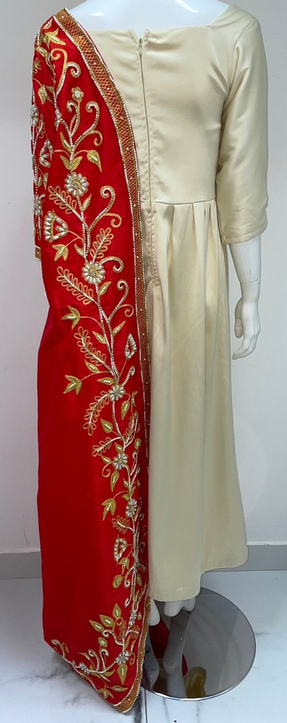 Gorgeous Dual Color Dress