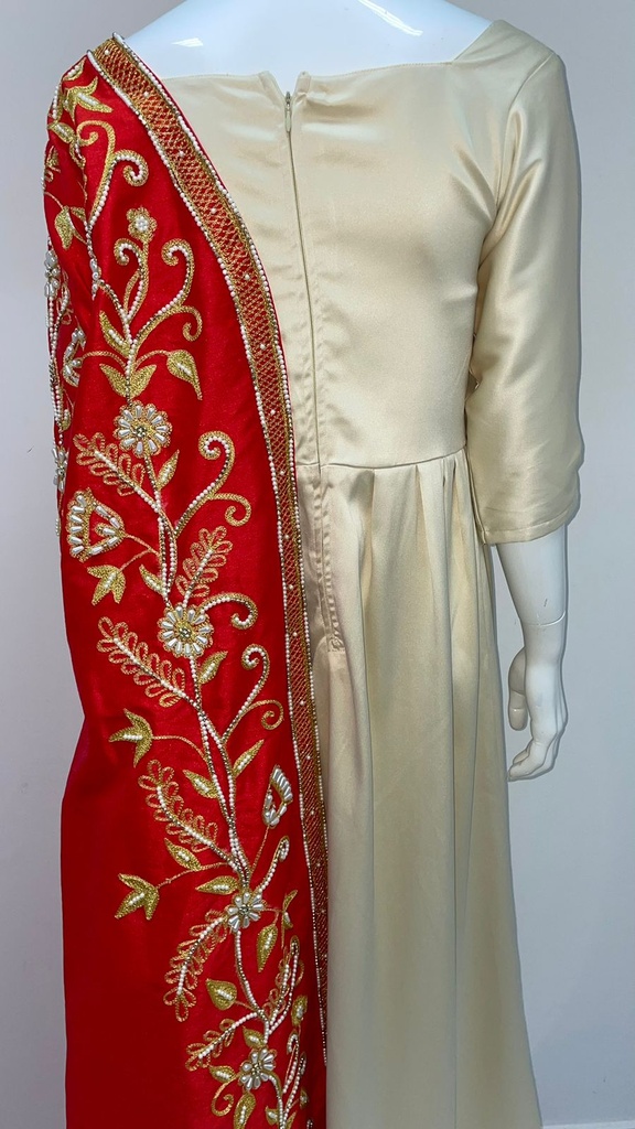 Gorgeous Dual Color Dress