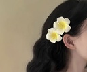 Frangipani hair clip