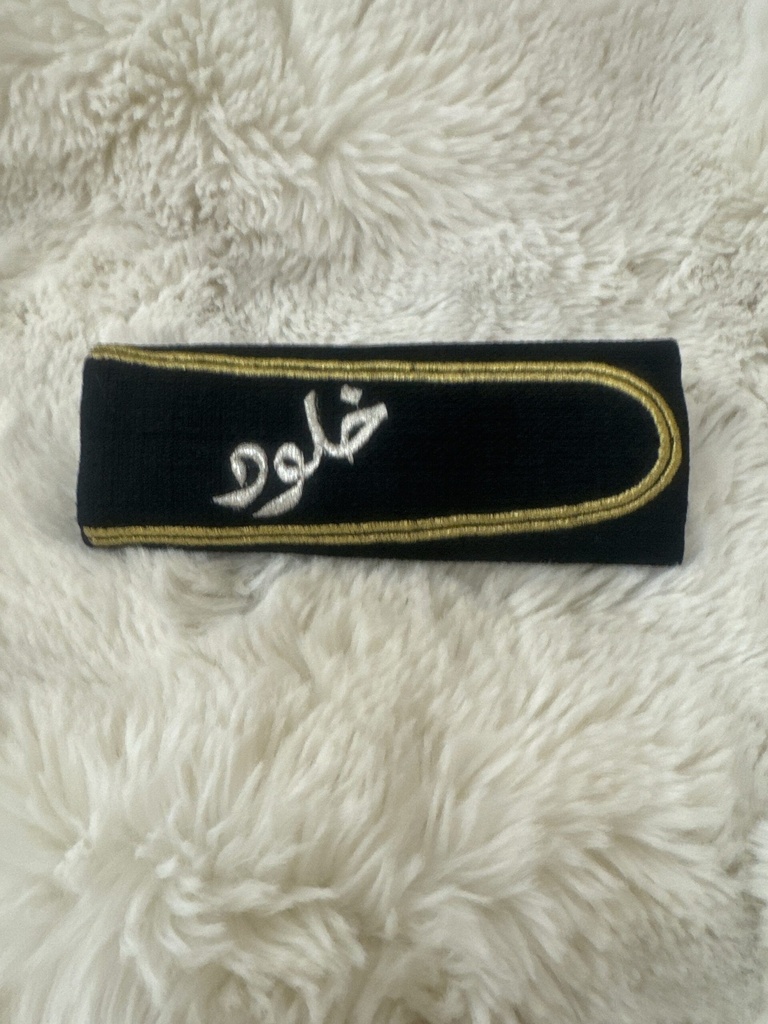 Seatbelt accessory