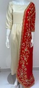 Gorgeous Dual Color Dress