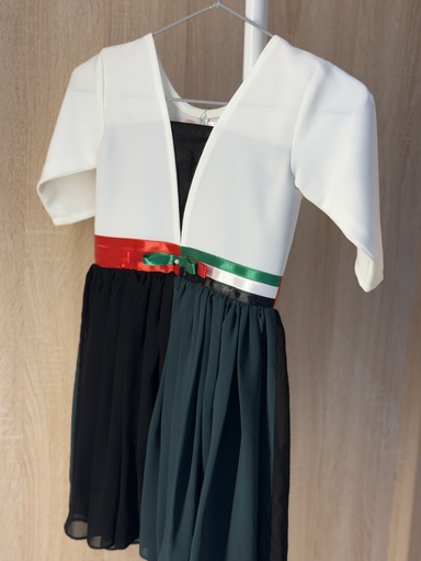[33531836] UAE flag colors dress